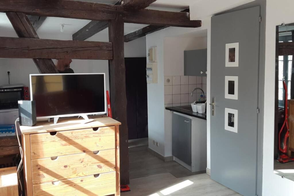 Apartment De Benedicte Ancienne Douane Colmar